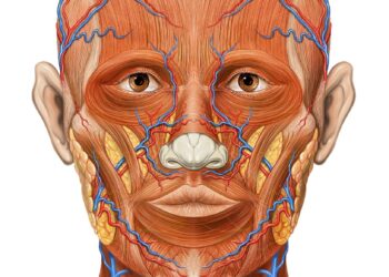 Médecine : pourquoi la petite tête de l’homme attire autant de spécialistes ?