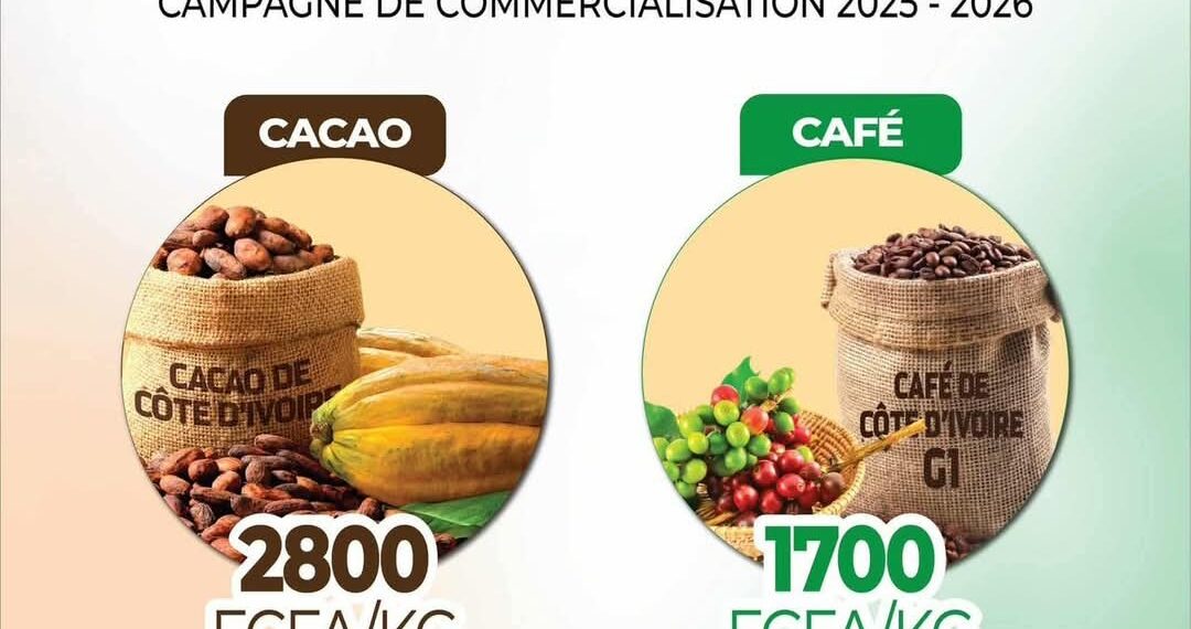 Hausse des prix du Café-cacao :  générosité ou marchandage électoral ?