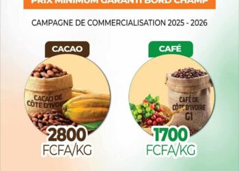 Hausse des prix du Café-cacao :  générosité ou marchandage électoral ?