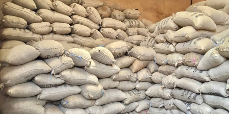 ALÉPÉ/Le collectif des sociétés coopératives plaide pour l’enlèvement des anciens stocks de cacao