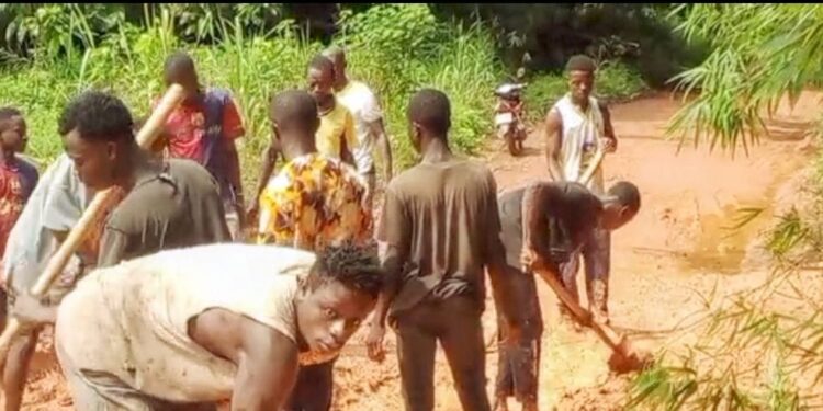 ALÉPÉ/Axe Memni-Kodioussou:Une initiative communautaire lancée pour réhabiliter la voie
