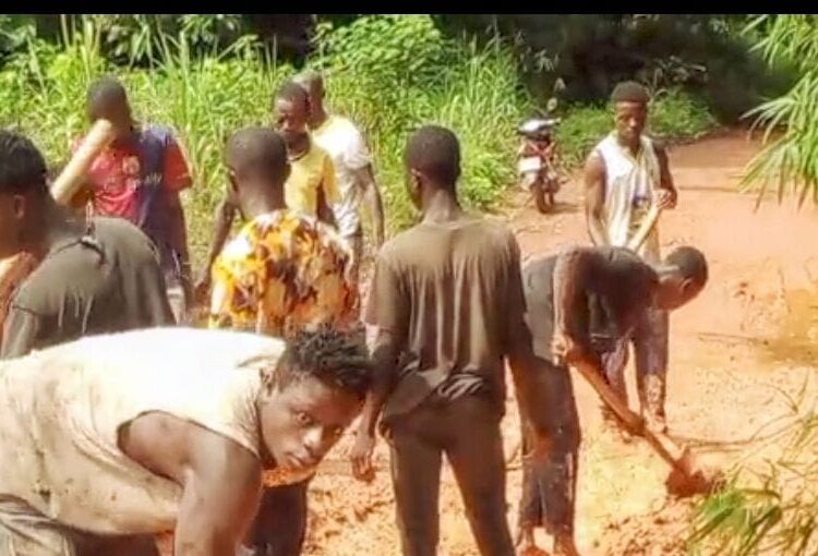 ALÉPÉ/Axe Memni-Kodioussou:Une initiative communautaire lancée pour réhabiliter la voie